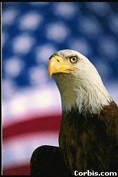 eagleflag
